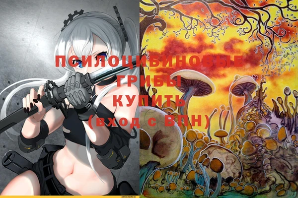Альфа ПВП Балахна