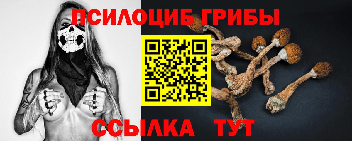 цена наркотик  Галлюциногенные грибы MAGIC MUSHROOMS  Воркута  Вход с VPN  Псилоцибиновые грибы прущие грибы 